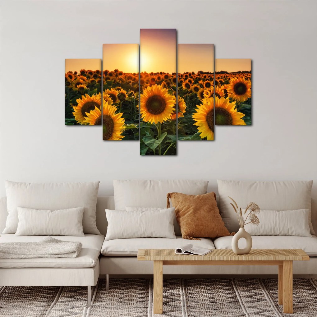 Tablou - Floarea soarelui (150x105 cm)