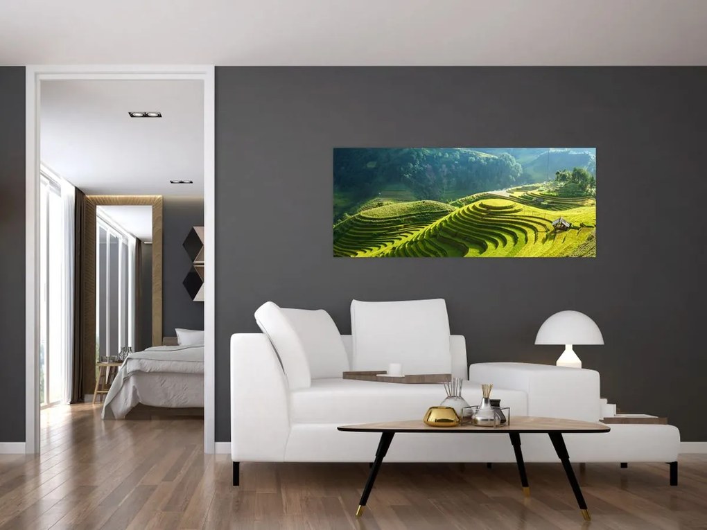 Tablou - Concert Terase de orez (120x50 cm)