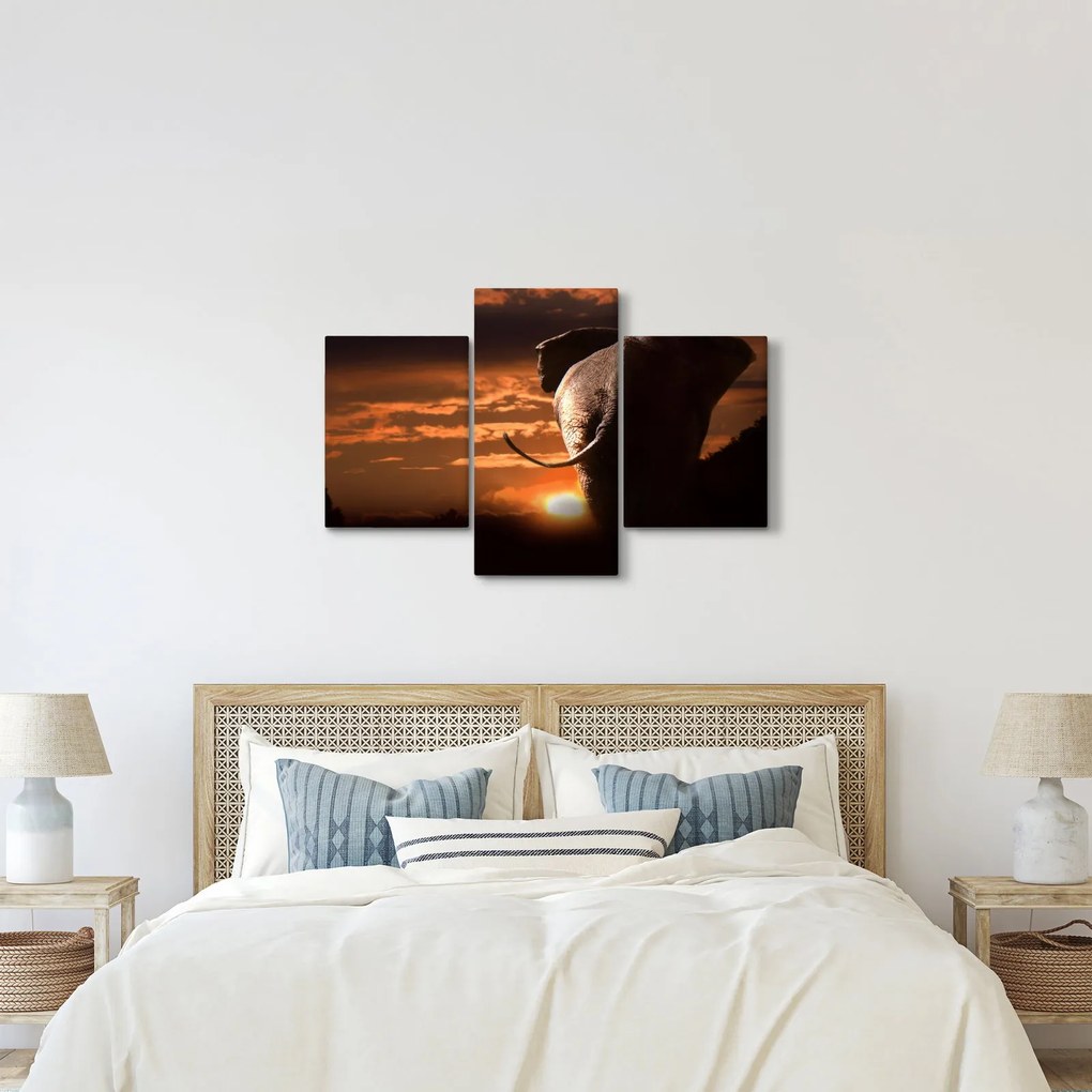 Tablou cu elefant (90x60 cm)