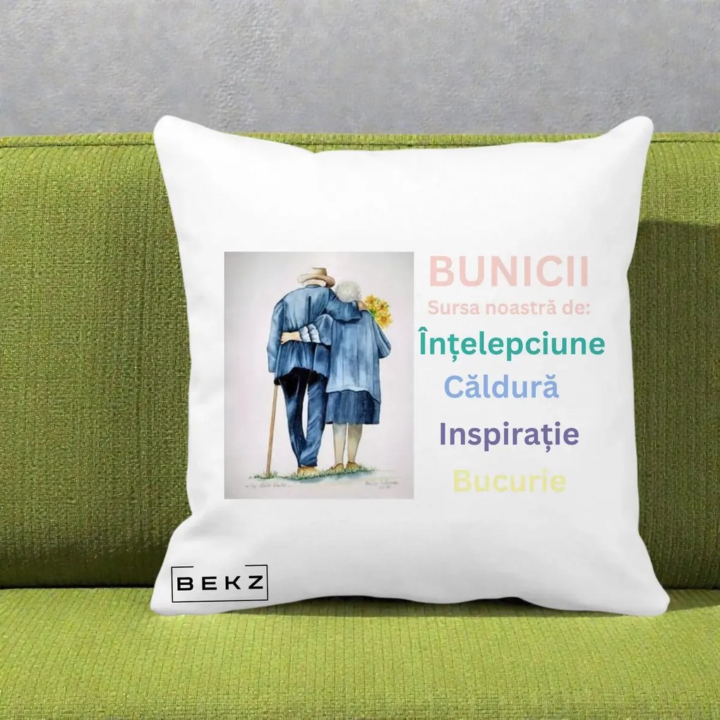 Cadou pentru Bunici - Perna Personalizata Bunicii Sursa Intelepciune Caldura Acuarela, 40x40 cm, Alba Mata, Husa Detasabila, Perna Inclusa, BEKZ®