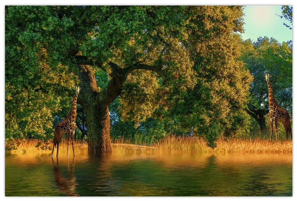 Tablou cu girafe în natură (90x60 cm)