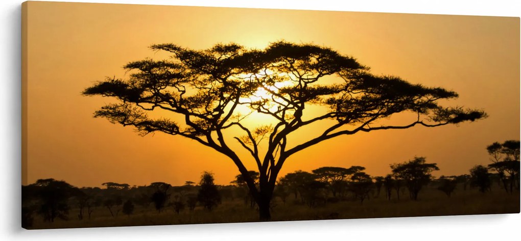 Tablou - Savana africană (120x50 cm)