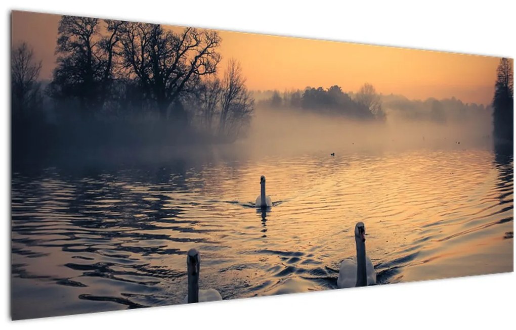 Tablou cu lebăde pe apă în ceață (120x50 cm), în 40 de alte dimensiuni noi