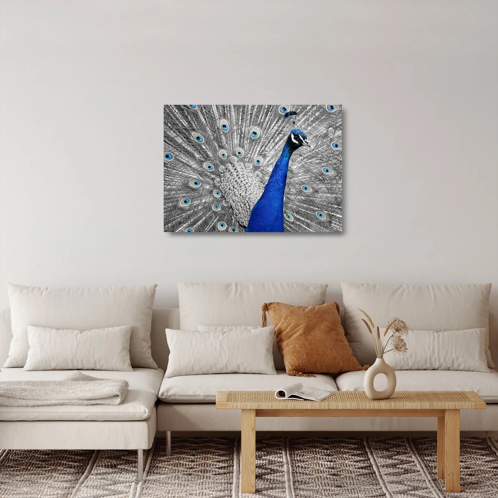 Tablou pe sticlă - păun albastru (70x50 cm)
