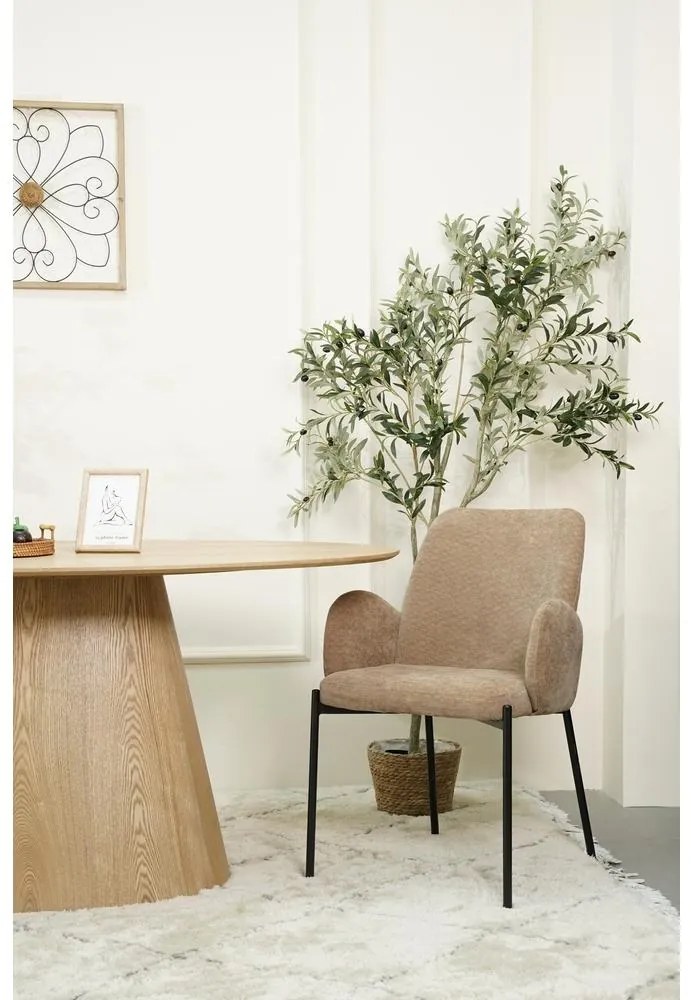 Scaun sufragerie Miracle  (aulla 17). 1099157