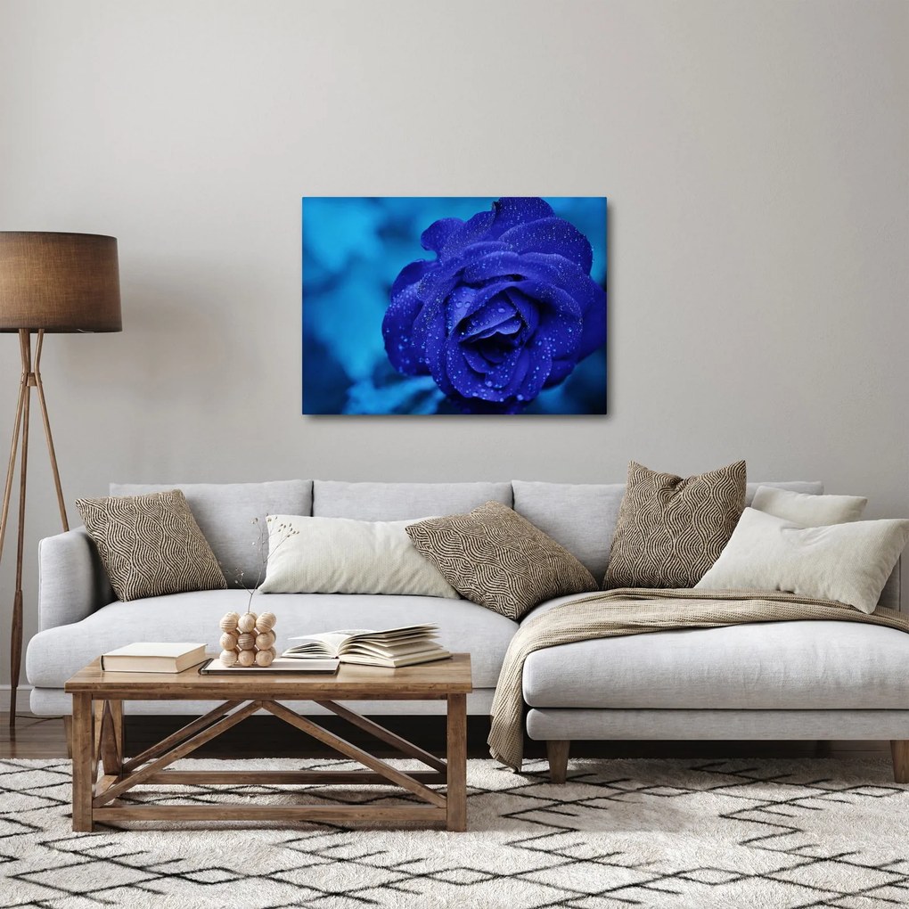 Tablou cu trandafir albastru (70x50 cm)