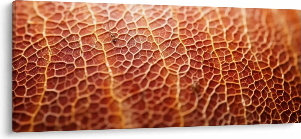 Tablou - Detaliu de textură (120x50 cm)