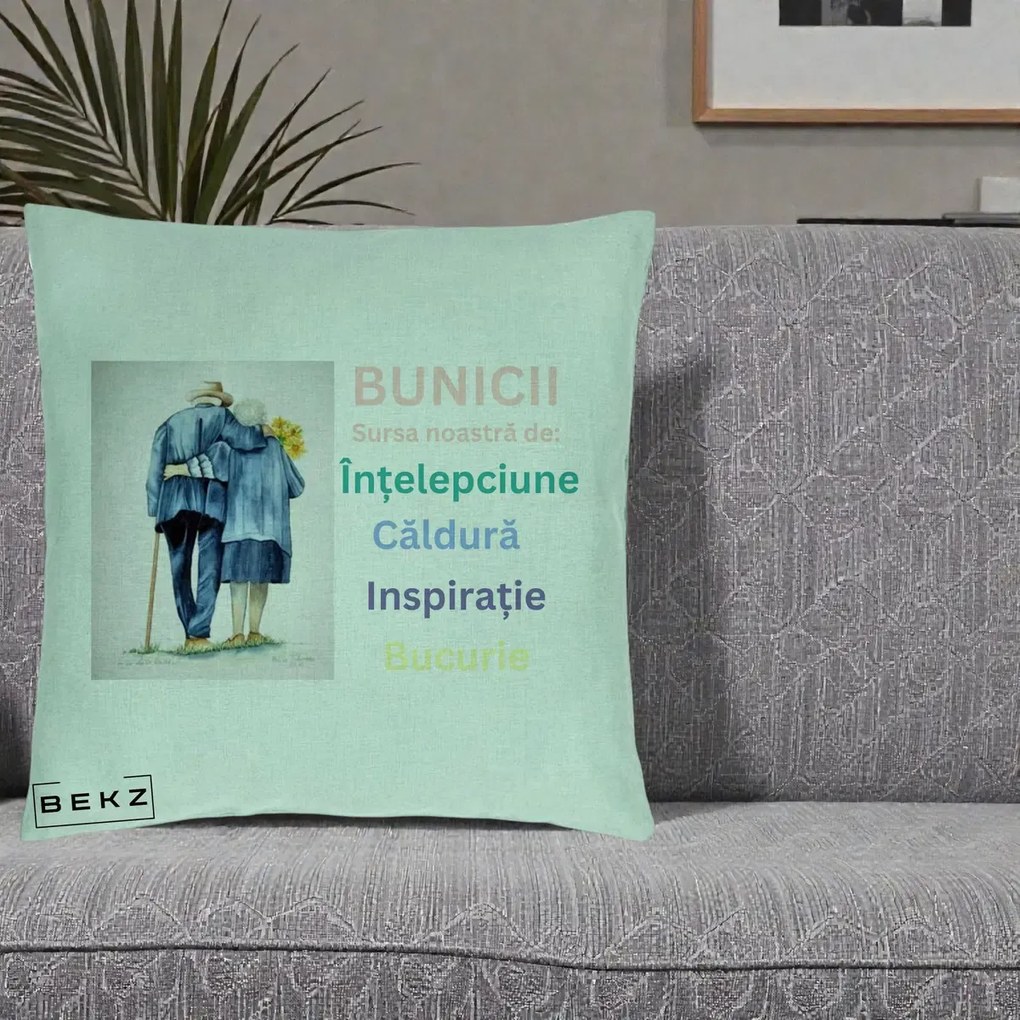 Cadou pentru Bunici - Perna Personalizata Bunicii Sursa Intelepciune Caldura Acuarela, 40x40 cm, Verde Menta, Husa Detasabila, Perna Inclusa, BEKZ®