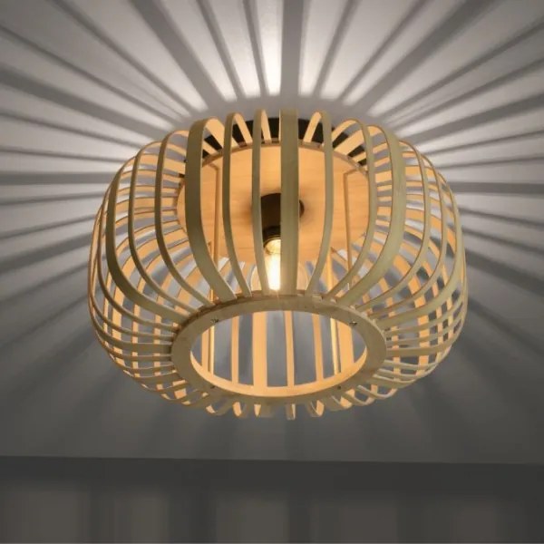 Lustră aplicată RACOON 1xE27/40W/230V d. 40 cm Leuchten Direkt 11412-79