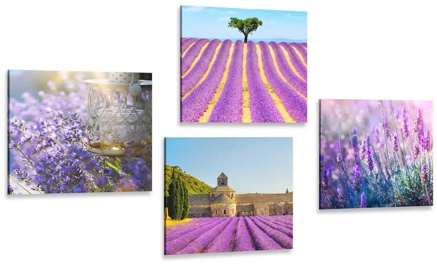 Set tablouri bogăția de lavandă