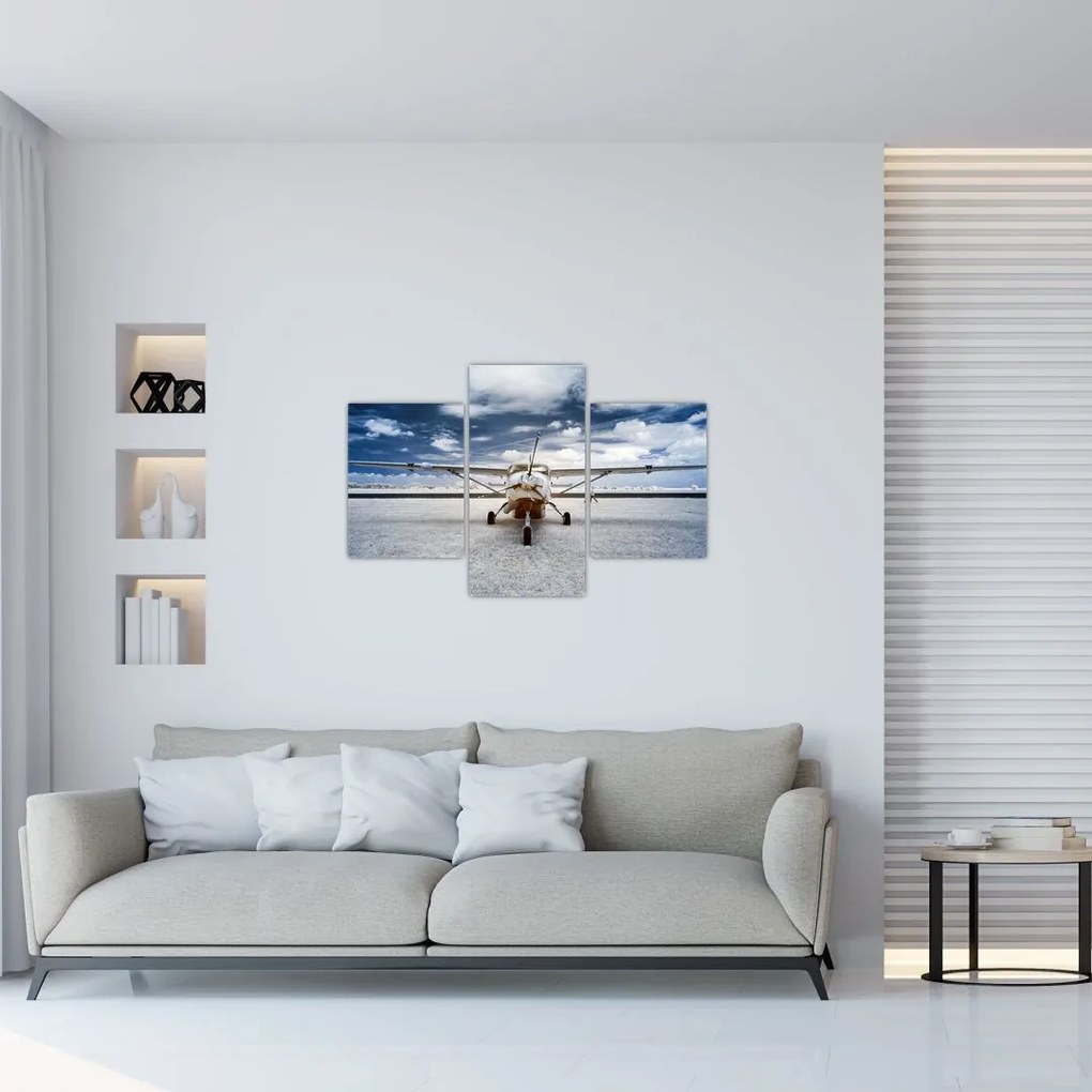 Tablou cu aeroplan cu motor (90x60 cm)