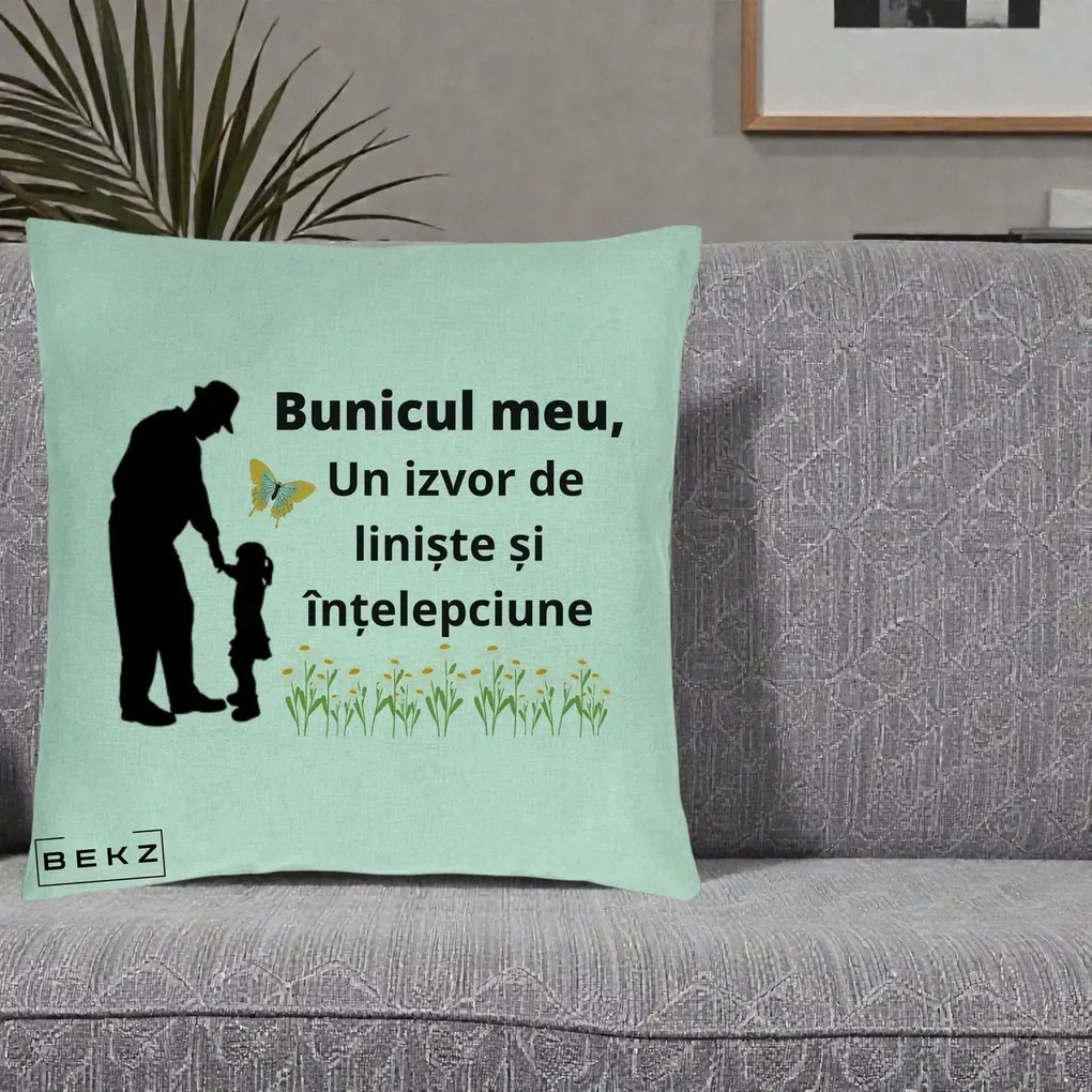 Cadou pentru Bunic - Perna Personalizata Bunicul Meu Izvor de Liniste cu Fluture si Fetita, 40x40 cm, Verde Menta, Husa Detasabila, Perna Inclusa, BEKZ®