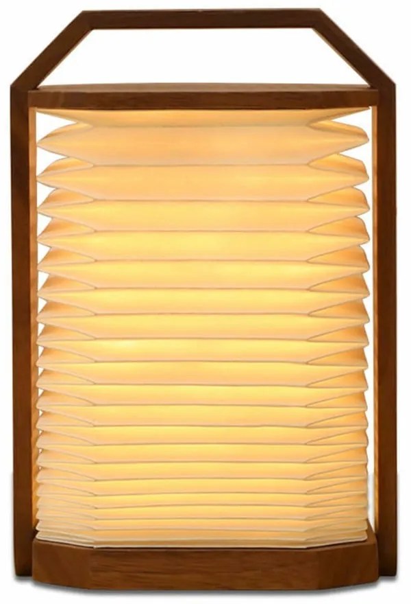 Decorațiune luminoasă albă/în culoare naturală închisă cu USB Origami – Gingko