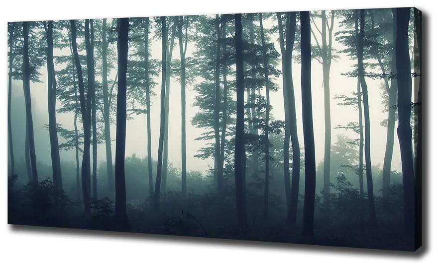 Print pe canvas Pădure în ceață