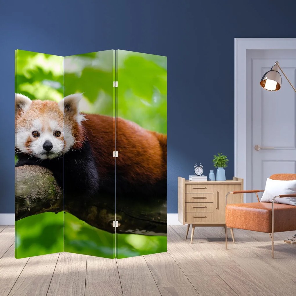 Paravan - Panda roșie (126x170 cm)