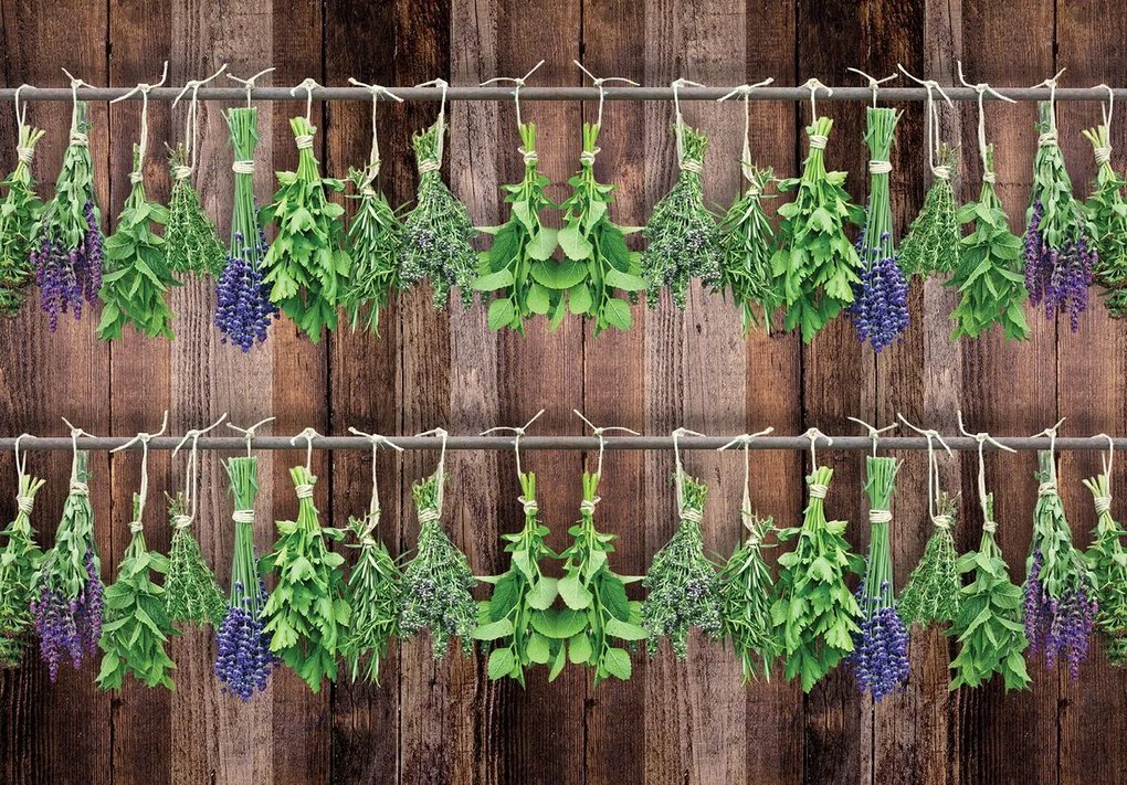 Fototapet - Plante - maro (152,5x104 cm)