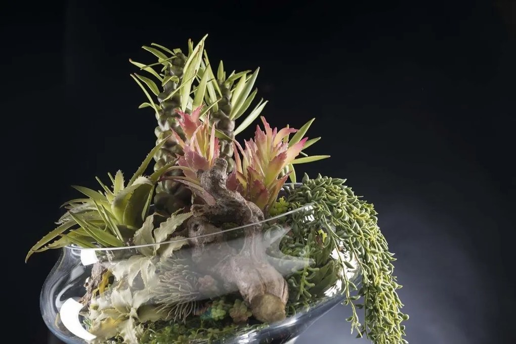 Aranjament floral elegant ETERNITY BOWL EXOTIC ZEUS 1141789.60