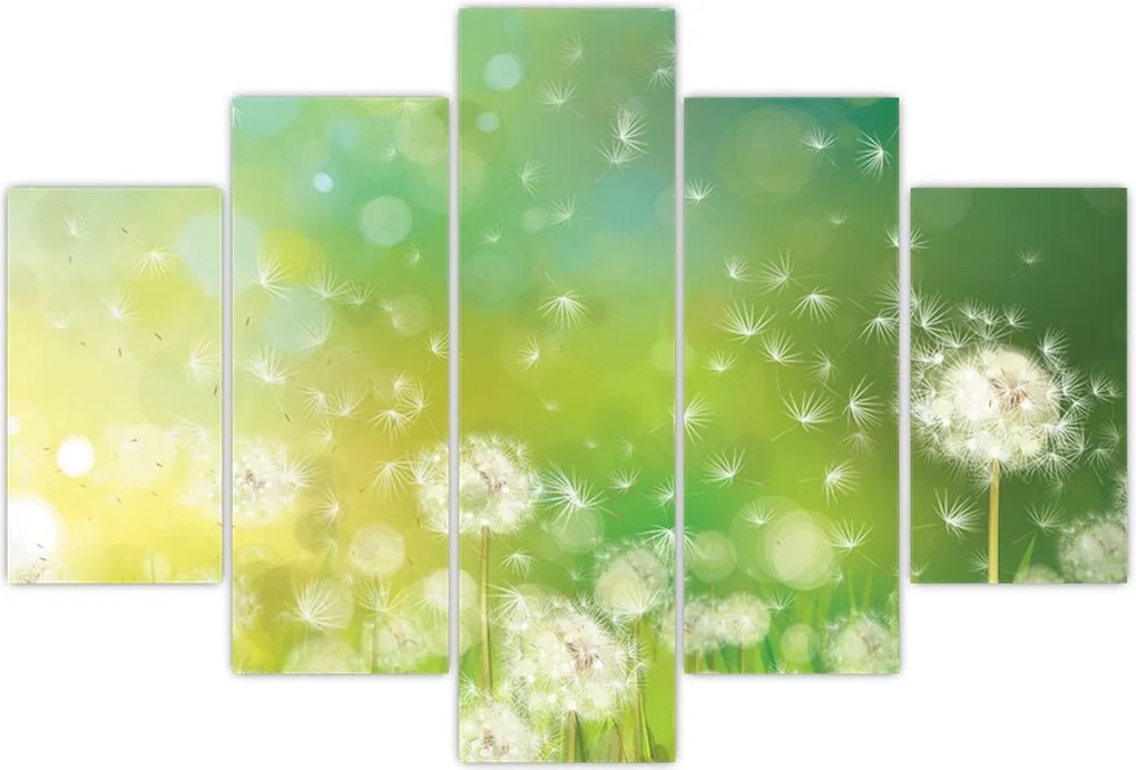 Tablou - Păpădie înflorită (150x105 cm)