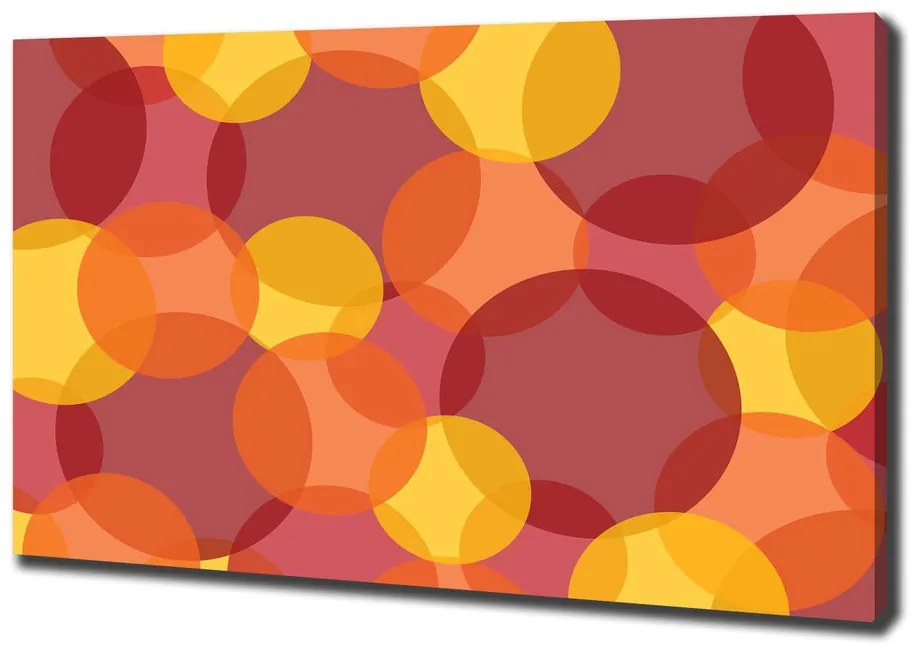 Tablou canvas Cercuri colorate