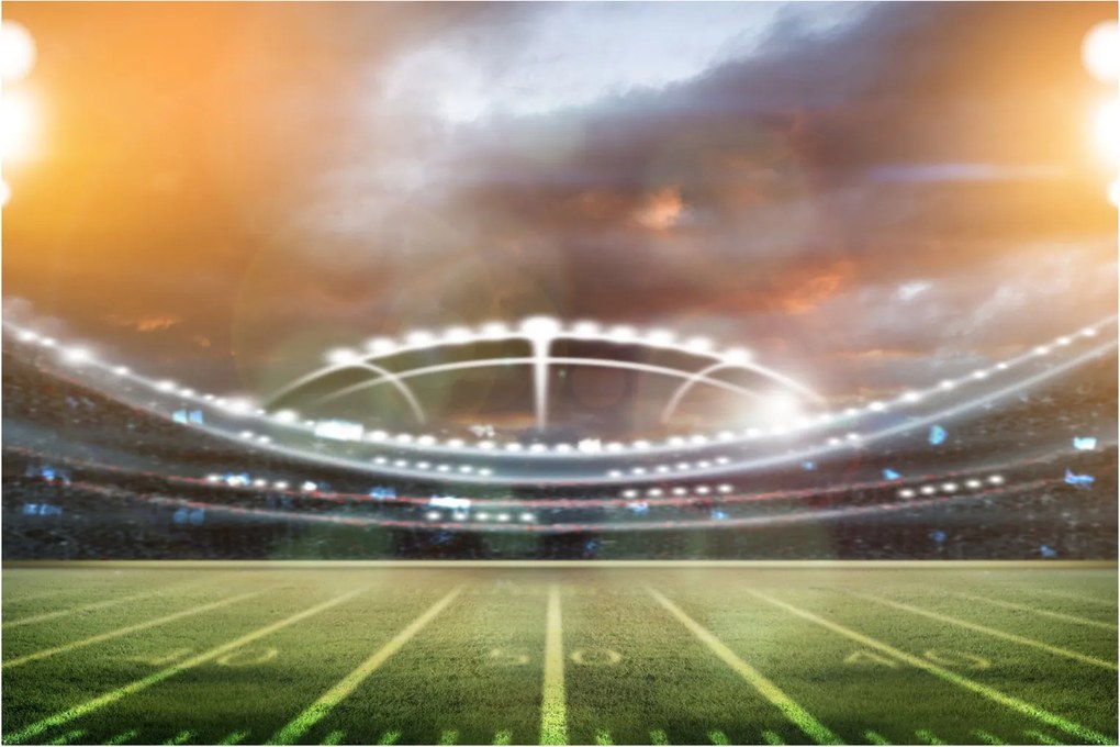 Tablou - Stadion (90x60 cm)