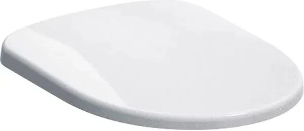 Capac wc softclose Geberit Selnova cu balamale Quick Release