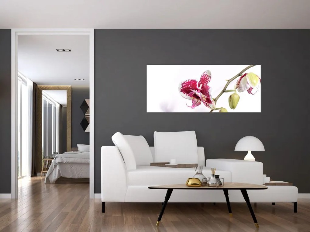 Tablou cu floarea de orhidee (120x50 cm)