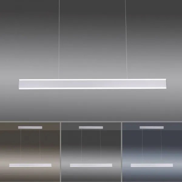 Lustră LED dimabilă pe cablu ARINA LED/20W/230V Paul Neuhaus 8363-55