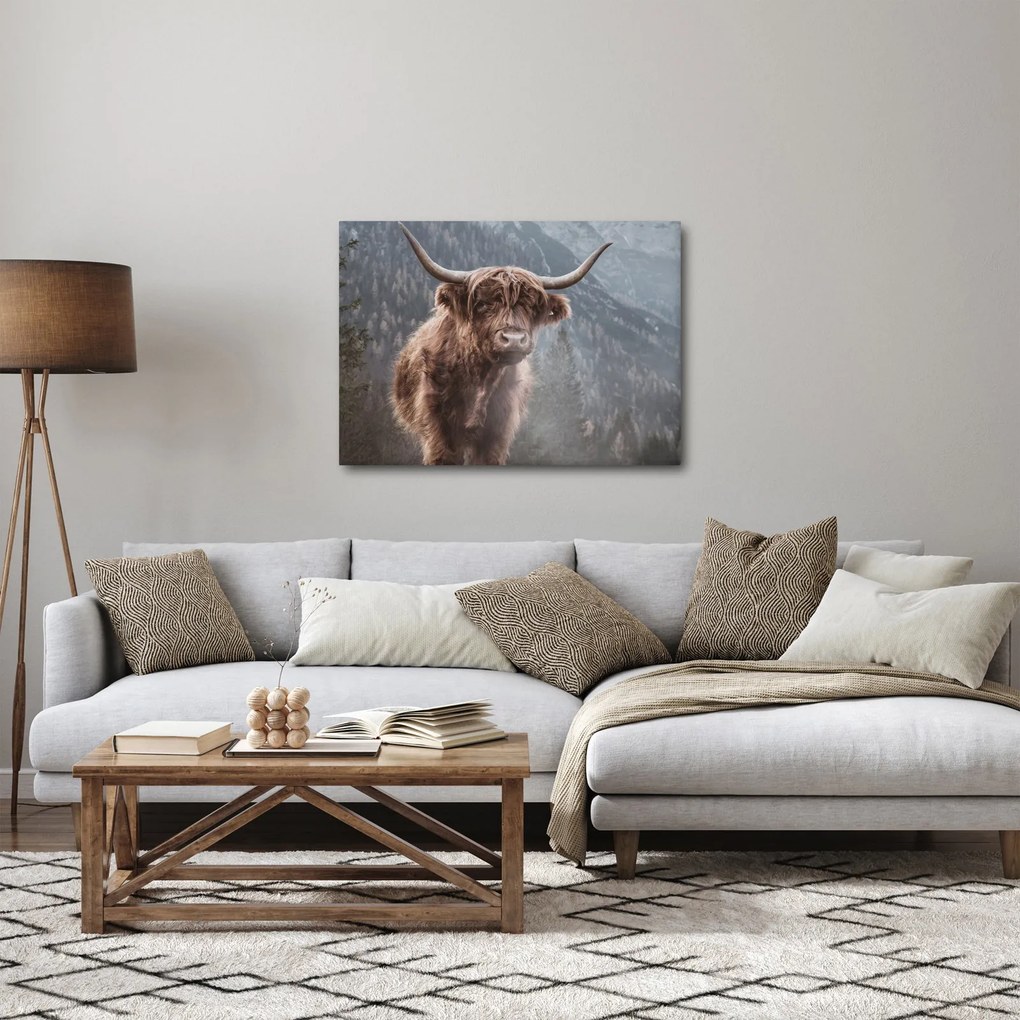 Tablou - Vaca Highlander (70x50 cm)