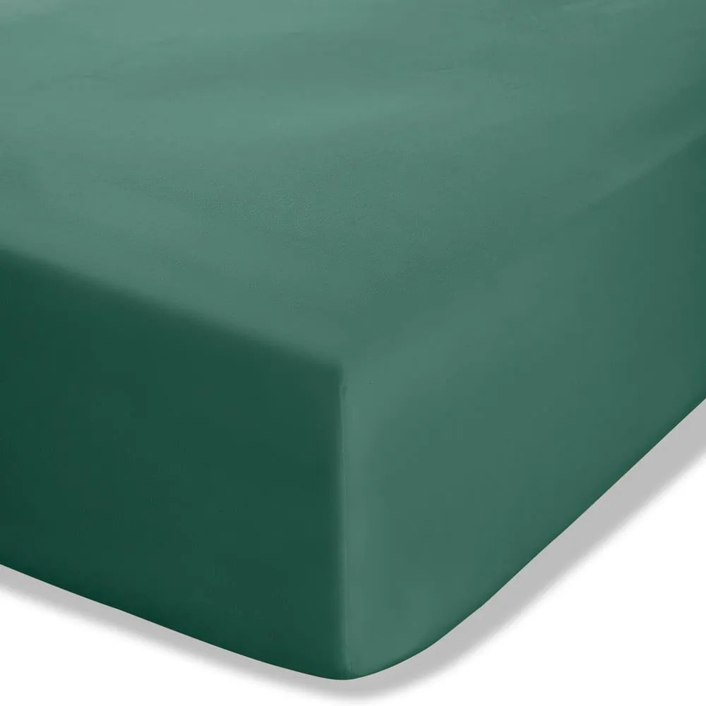 Cearceaf verde închis din bumbac percale cu elastic 135x190 cm Easy Iron Percale – Catherine Lansfield