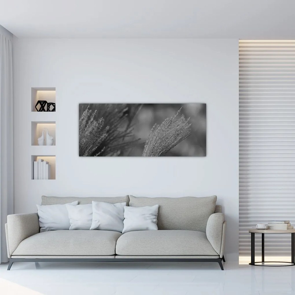 Tablou - Iarbă de pampas uscată (120x50 cm)