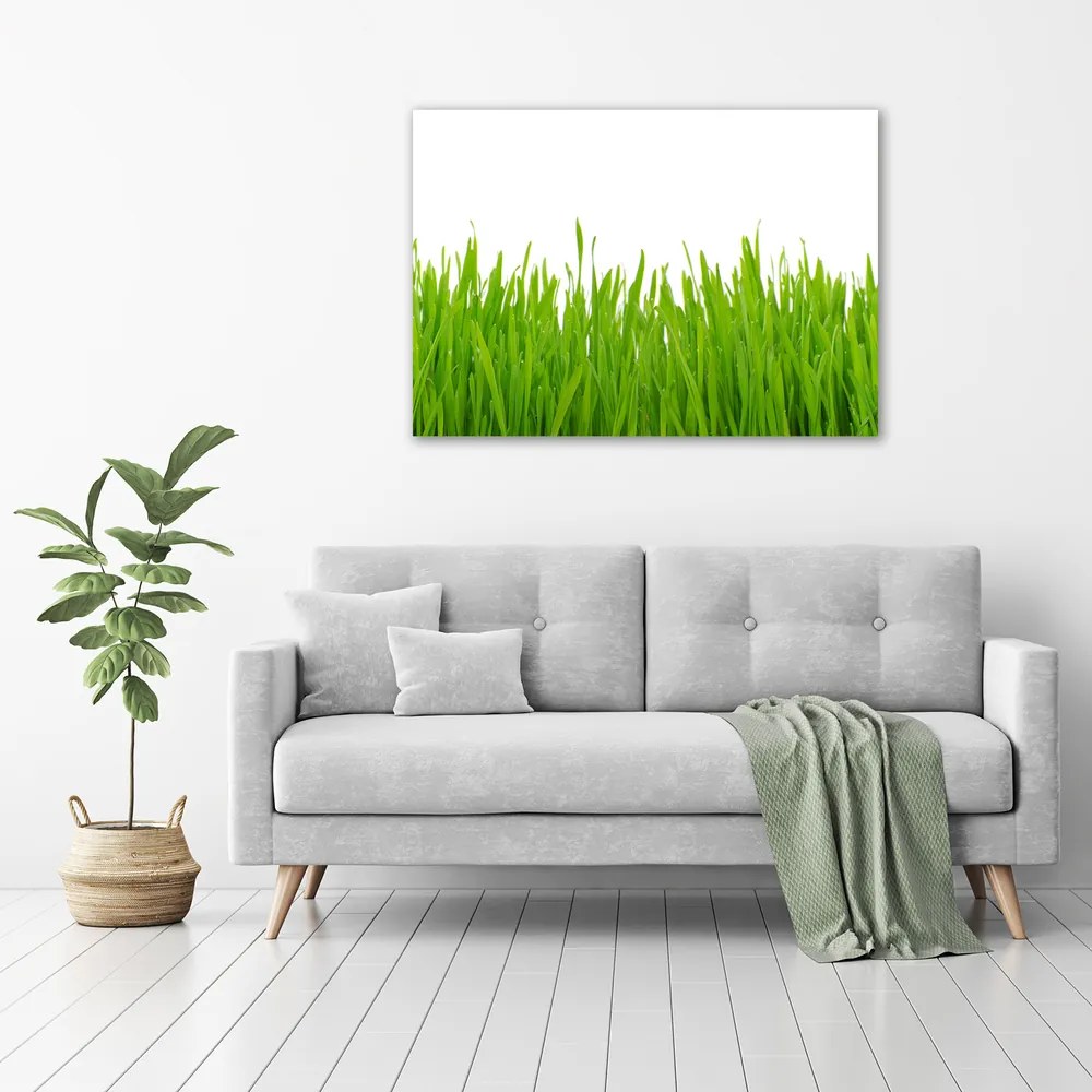 Tablou canvas Iarbă