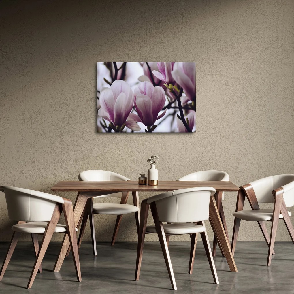 Tablou - Magnolie (70x50 cm)