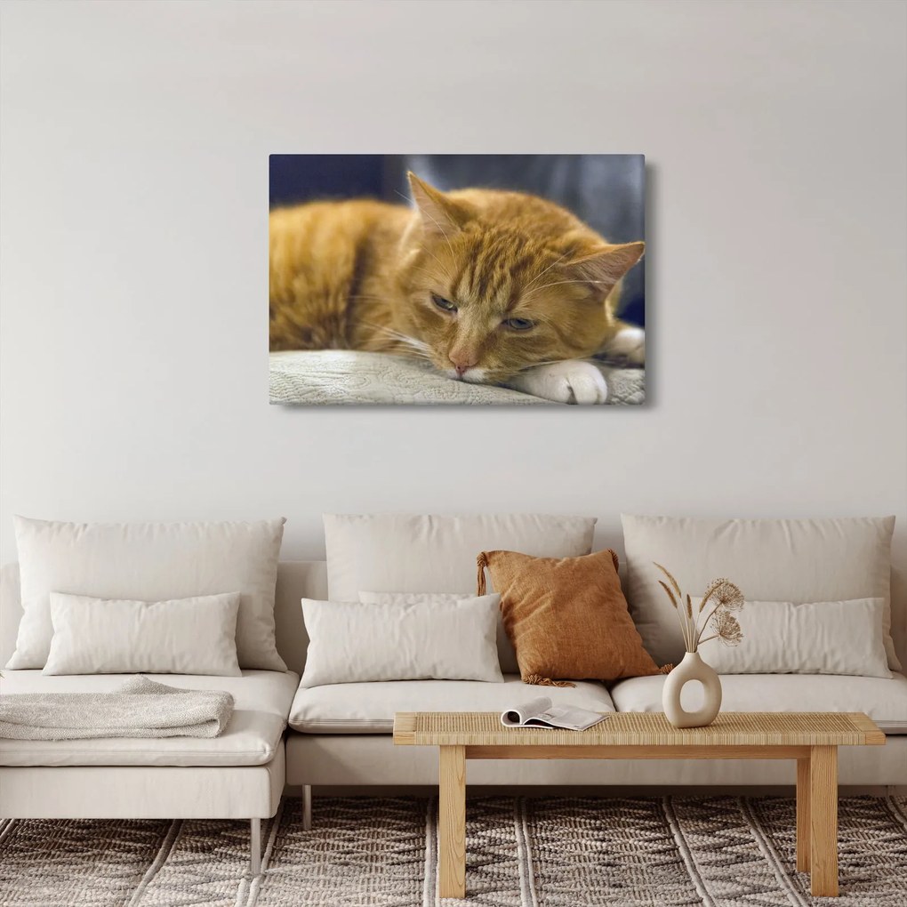 Tabloul pisicii (90x60 cm)