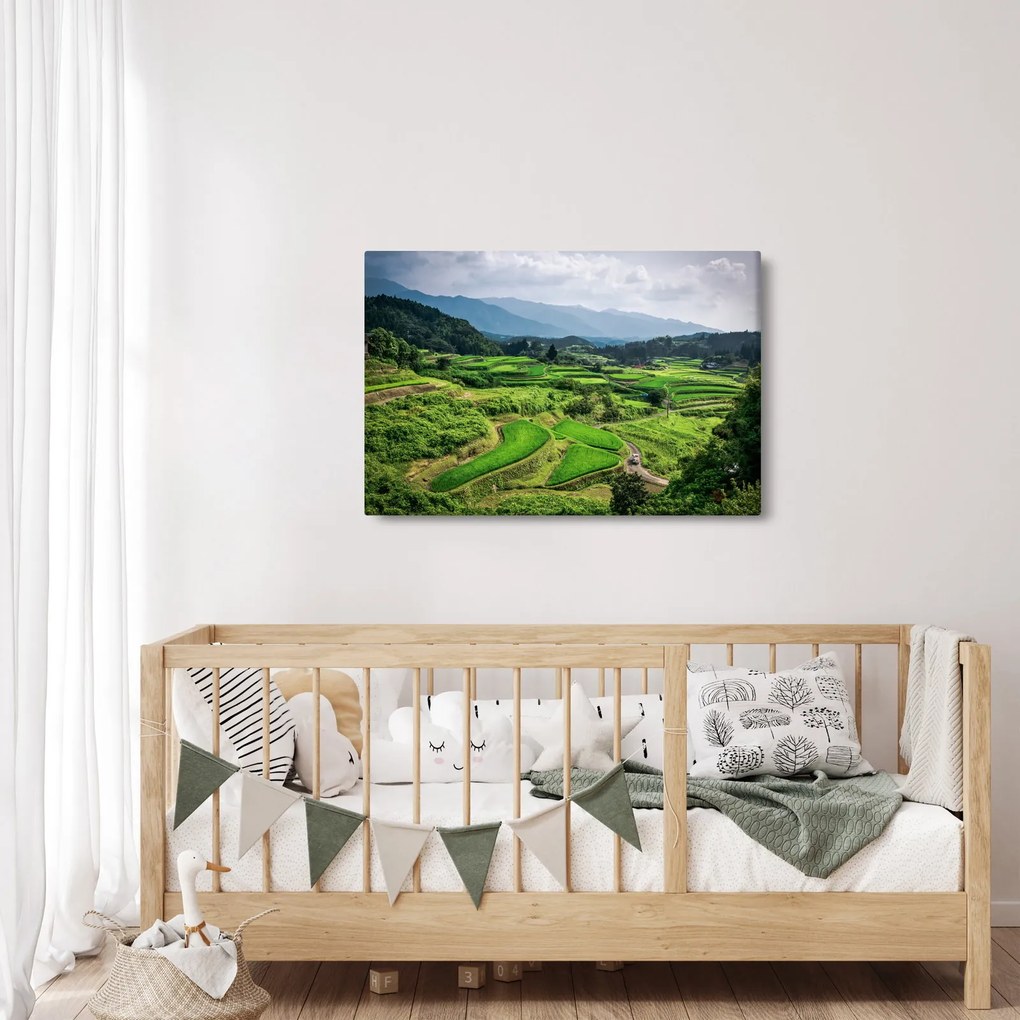 Tablou cu câmp de orez (90x60 cm)