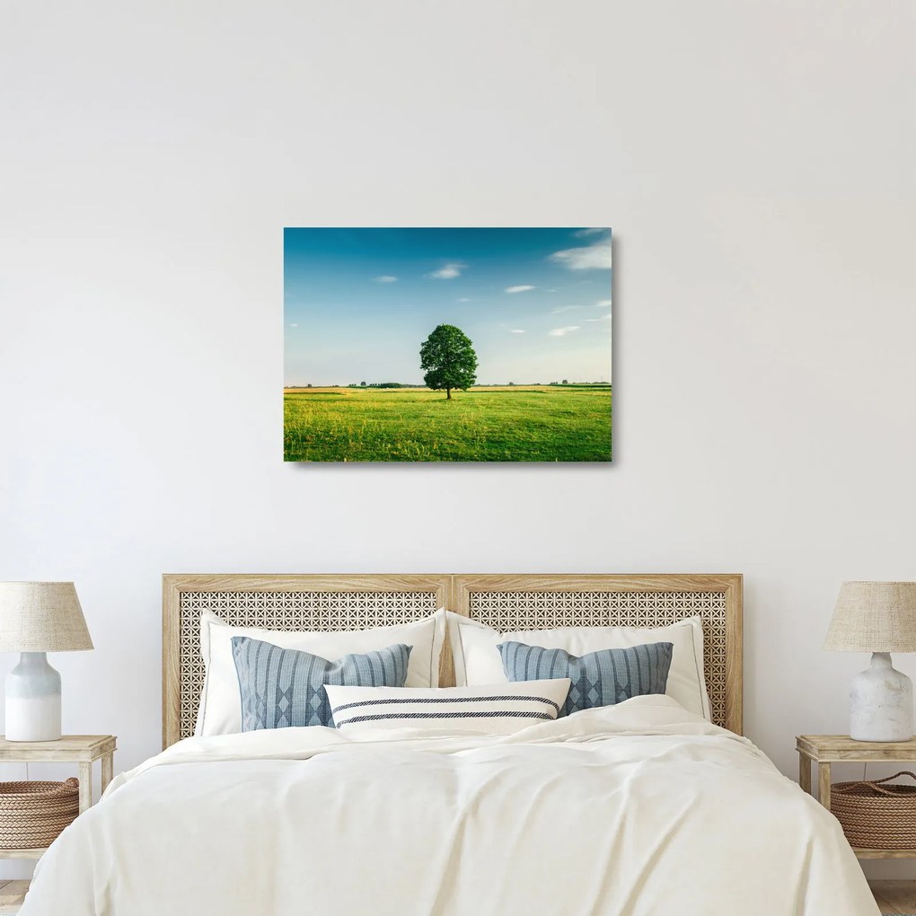 Tablou pe sticlă cu copaci pe luncă (70x50 cm)