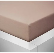 Cearșaf Jersey Standard bej,  180 x 200 cm, 180 x 200 cm