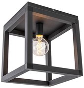 Plafoniera industriala neagra - Big Cage