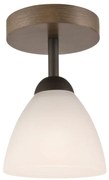 Lustr ADRIANO 1xE27/60W/230V, přisazený model