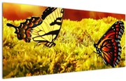 Tablou cu fluturi (120x50 cm)