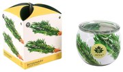 Lumânare parfumată Arome Rosemary în sticlă, 90 g