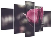 Tablou - Detaliu florii de trandafir (150x105 cm)