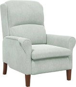 vidaXL fotoliu Gri deschis 76 x 94 x 102 cm Catifea