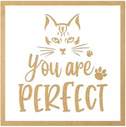 Tablouri PISICI - Cadou pentru iubitorii de pisici - Tablouri amuzante