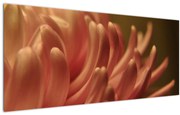 Tablou cu detailu florii (120x50 cm)