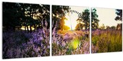 Tablou - Câmp cu lavandă (cu ceas) (90x30 cm)