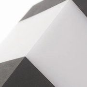 Lampă de exterior cu priză GARD 1xE14/60W/230V IP44