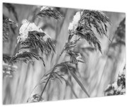 Tablou - Tei,alb-negru (90x60 cm)