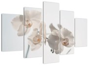 Tablou cu orhidee albă (150x105 cm)