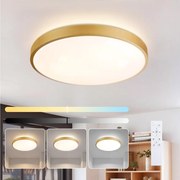 Brilagi - Corp de iluminat LED reglabil GLASS POOL DOUBLE LED/60W/230V 50 cm auriu + telecomandă