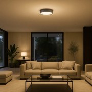 Plafoniera LED design slim Tesia argintiu 36W